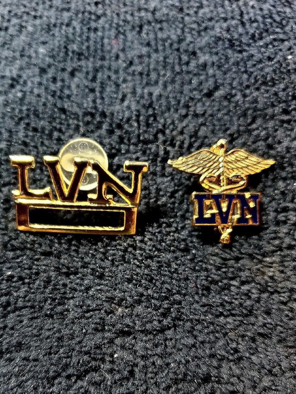 LVN Nursing Pins (Set of 2) Gold-Tone